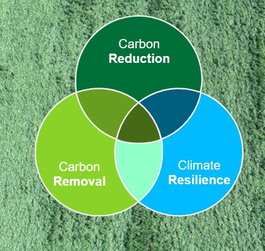 climate
