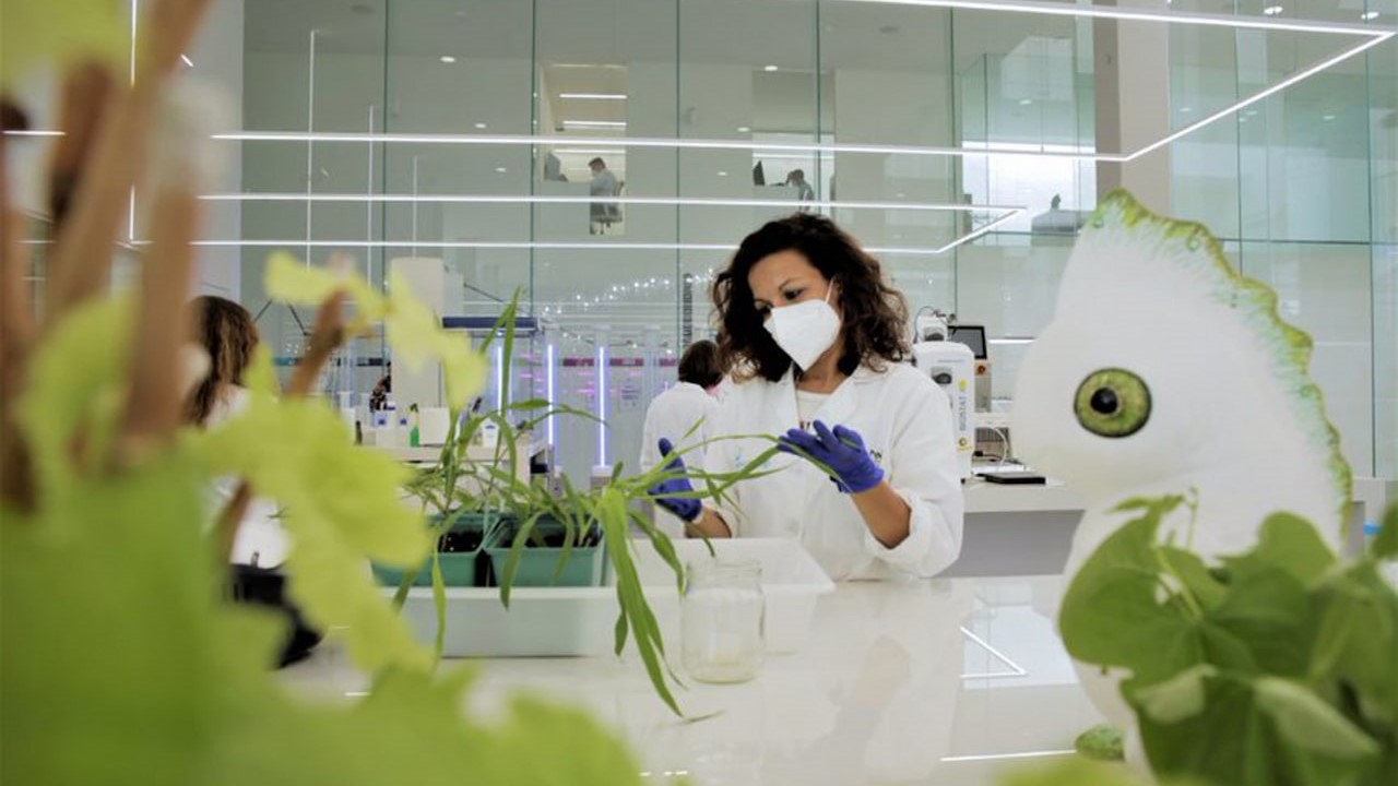 Bayer ve Kimitec, yeni nesil biyolojik tarım ürünleri için güçlerini birleştiriyor 