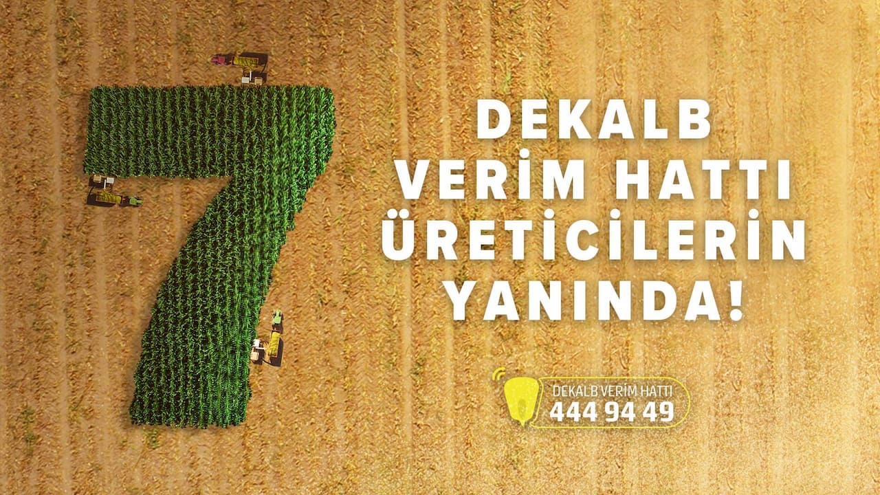 DEKALB Verim Hattı 7 Yıldır Üreticilerin Yanında