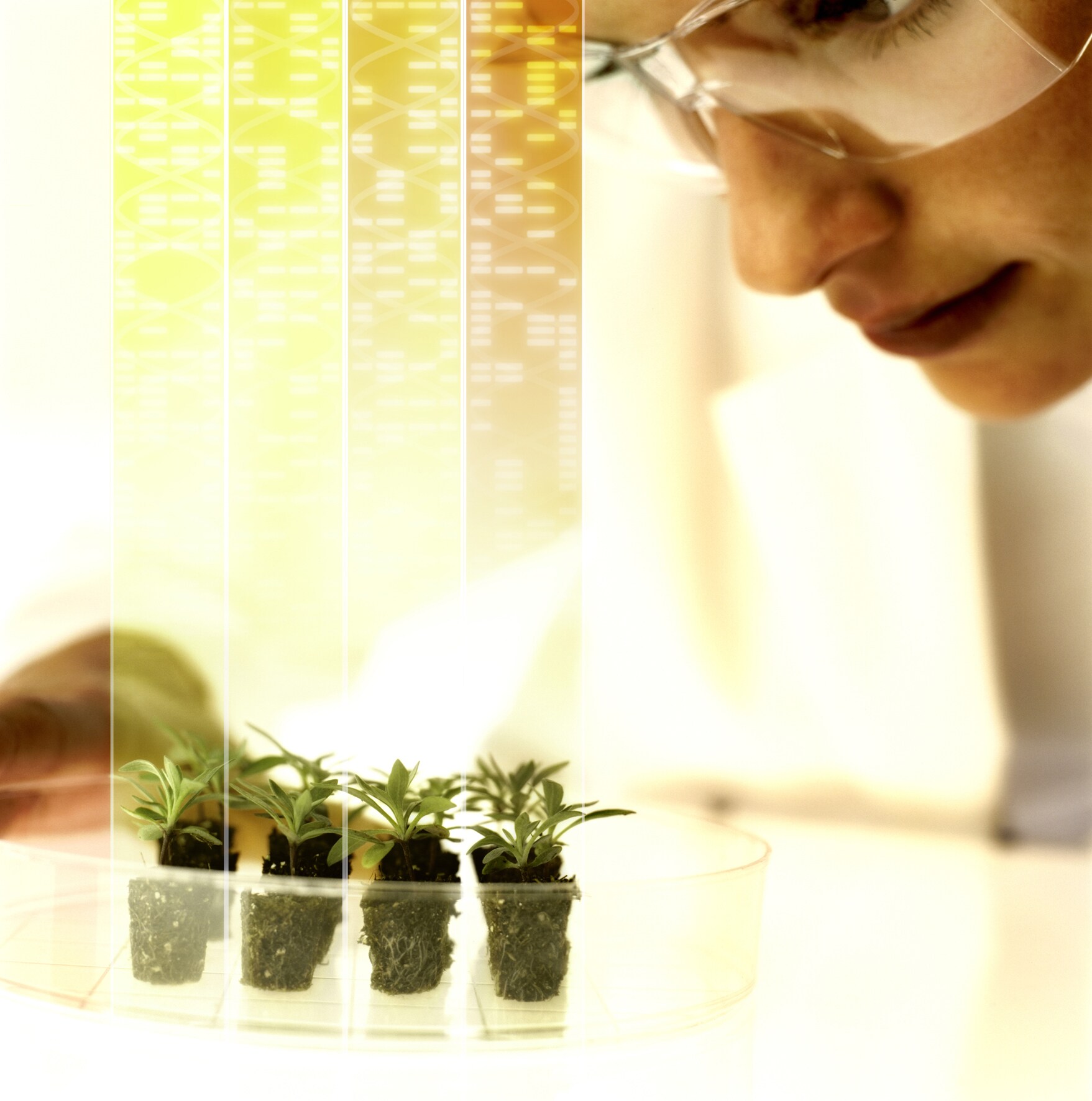 Bayer, Bilim İnsanlarını ve Araştırmacıları Testing4Ag Programına Davet Ediyor