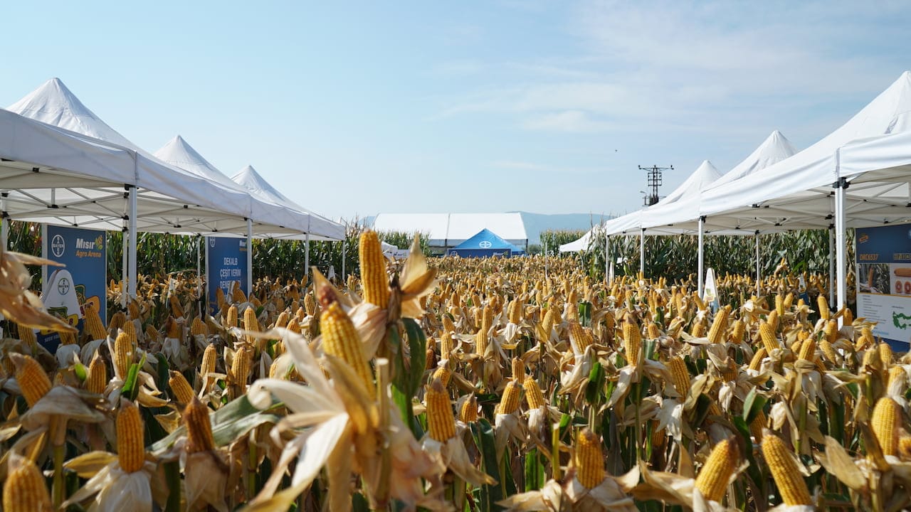 Bayer Agro Arena Etkinliği