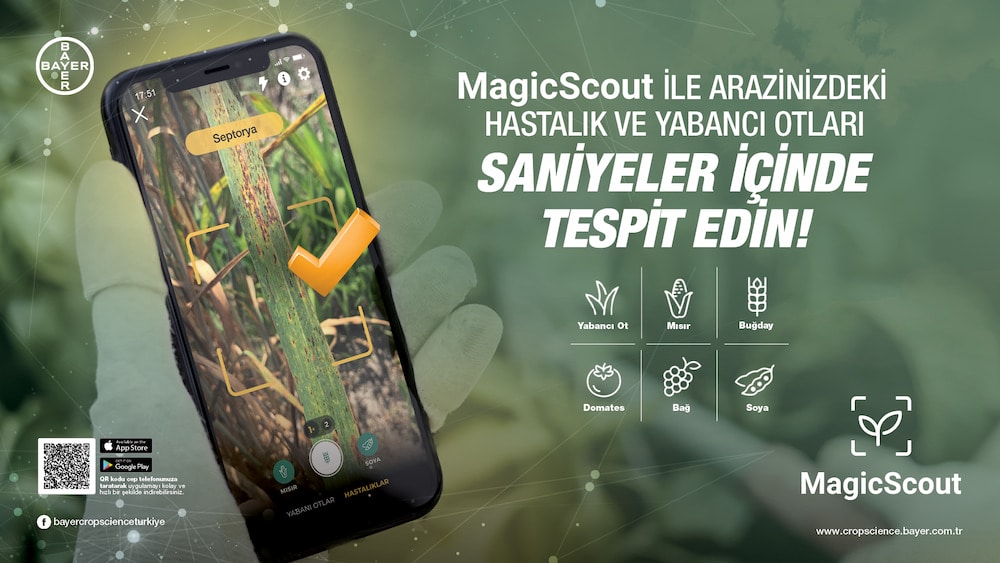 Magic Scout Anahtar Görsel