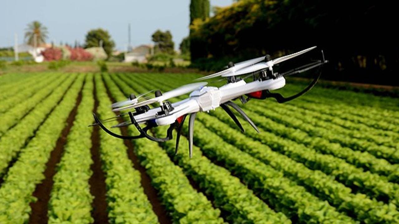 Bir drone, berrak bir gökyüzünün altında, sıra sıra ekili, yemyeşil bir tarım alanının üzerinde uçuyor.