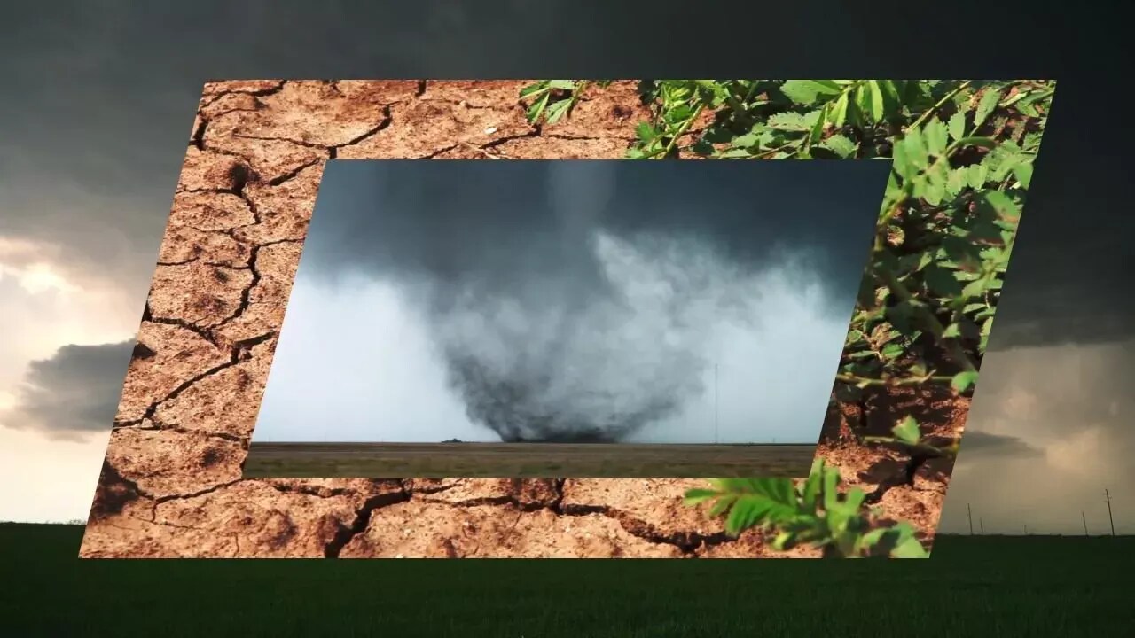 bayer corp video -2