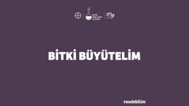 Koyu mor zemin üzerine beyaz renkte "BİTKİ BÜYÜTELİM" yazısı, logolar ve "#evedebilim" hashtag'i.