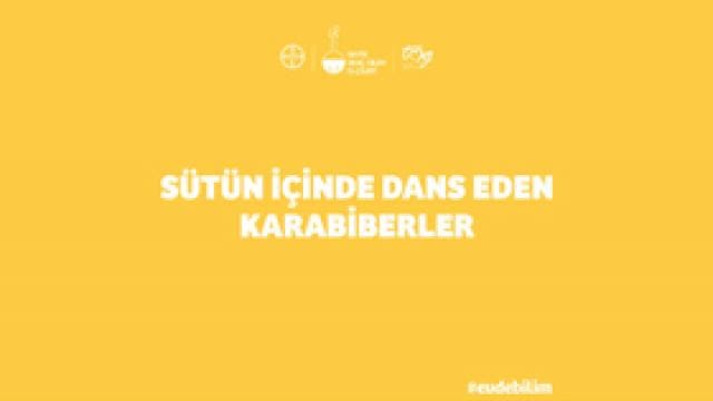 Sarı arka plan ve beyaz Türkçe metin: "Sütün İçinde Dans Eden Karabiberler". Altta çeşitli küçük logolar ve hashtag "#uzubeliam".