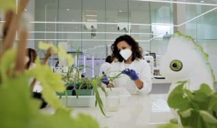 Bayer ve Kimitec, yeni nesil biyolojik tarım ürünleri için güçlerini birleştiriyor 