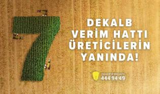 DEKALB Verim Hattı 7 Yıldır Üreticilerin Yanında