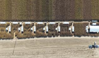 Agro Arena Etkinliği