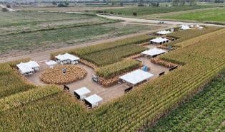 Agro Arena Etkinliği Yeni